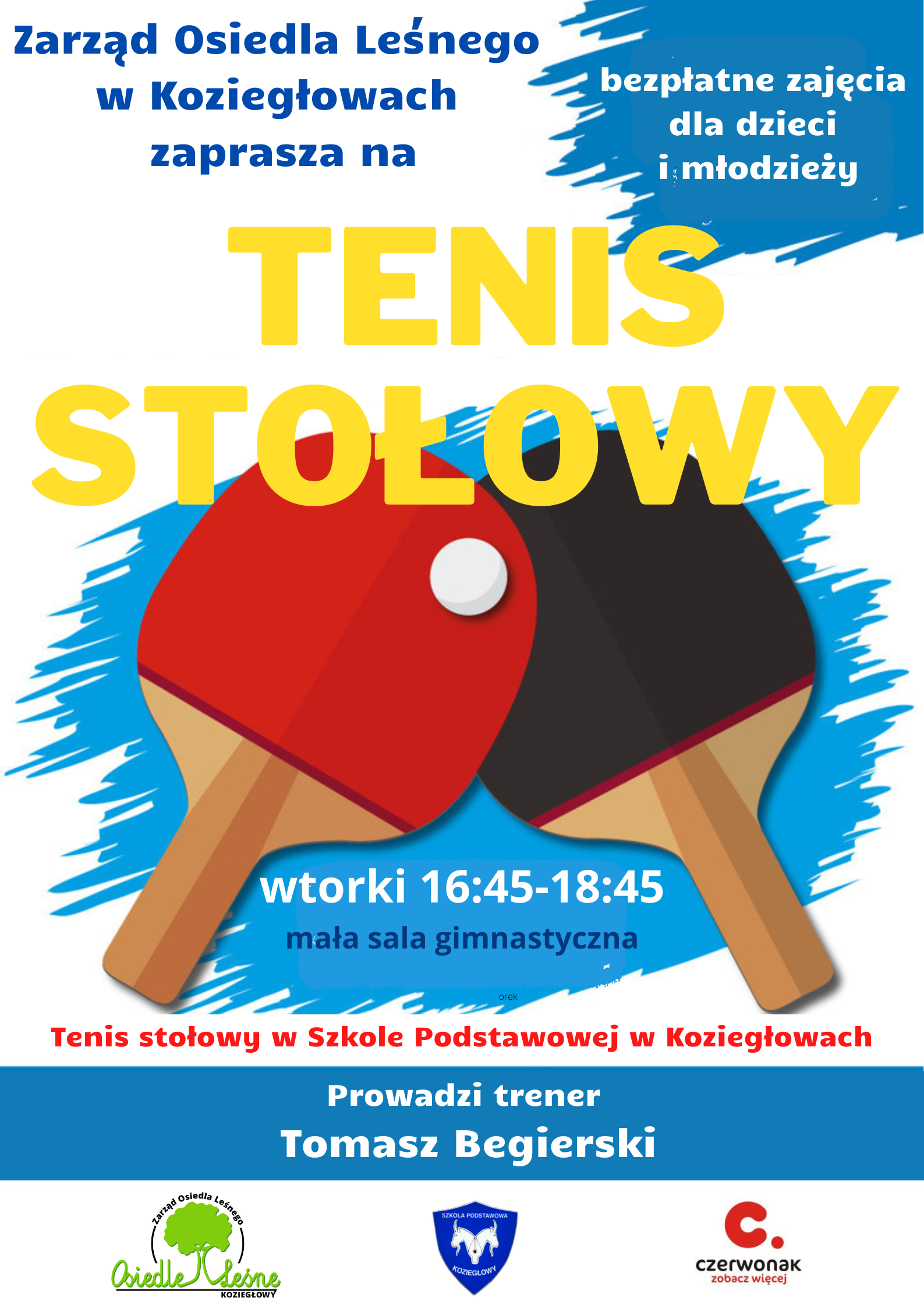 tenis stołowy (5).png
